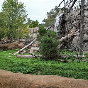 Detroit Zoo - Japanese Macaque habitat - Summer, 2016