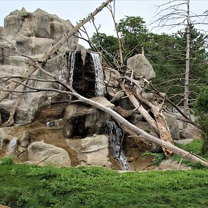 Detroit Zoo - Japanese Macaque habitat - Summer, 2016