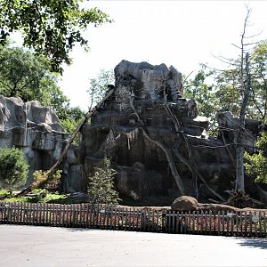 Detroit Zoo - Japanese Macaque habitat - Summer, 2016