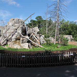 Detroit Zoo - Japanese Macaque habitat - Summer, 2016