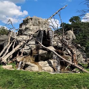 Detroit Zoo - Japanese Macaque habitat - Summer, 2016