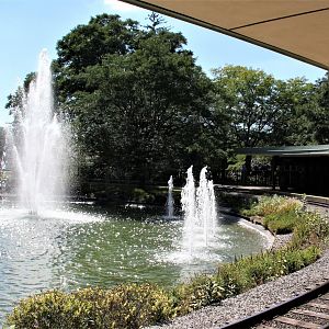 Detroit Zoo - Tauber Family Railroad / Chrysler Main Station- Summer, 2016