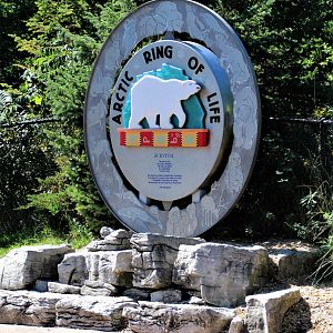 Detroit Zoo - Arctic Ring of Life- Summer/Fall, 2016