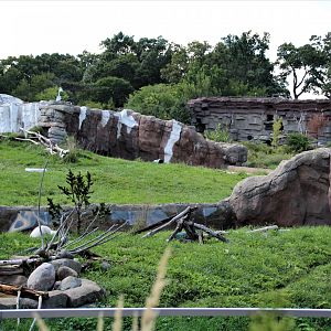 Detroit Zoo - Arctic Ring of Life- Summer/Fall, 2016
