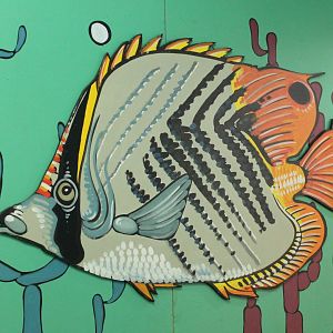 Mural Butterflyfish