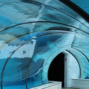 Detroit Zoo - Arctic Ring of Life- Summer/Fall, 2016