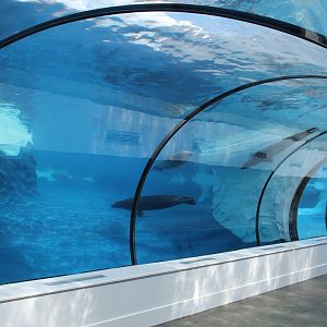 Detroit Zoo - Arctic Ring of Life- Summer/Fall, 2016