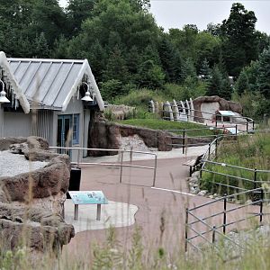 Detroit Zoo - Arctic Ring of Life- Summer/Fall, 2016