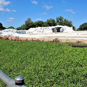 Detroit Zoo - Arctic Ring of Life- Summer/Fall, 2016