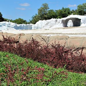 Detroit Zoo - Arctic Ring of Life- Summer/Fall, 2016