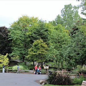 Detroit Zoo - Red Panda enclosure - Summer/Fall, 2016