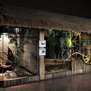 Detroit Zoo - Holden Reptile Conservation Center - Summer/Fall, 2016