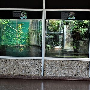 Detroit Zoo - Holden Reptile Conservation Center - Summer/Fall, 2016