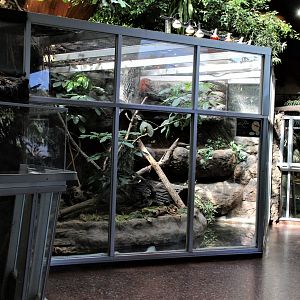 Detroit Zoo - Holden Reptile Conservation Center - Summer/Fall, 2016