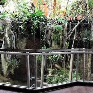 Detroit Zoo - Holden Reptile Conservation Center - Summer/Fall, 2016