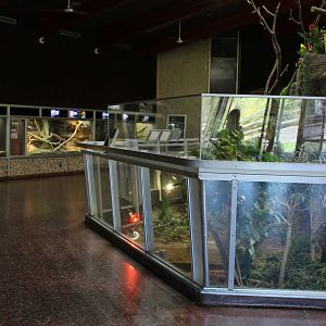 Detroit Zoo - Holden Reptile Conservation Center - Summer/Fall, 2016