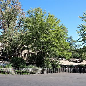 Detroit Zoo - Rhino enclosure - Summer/Fall, 2016
