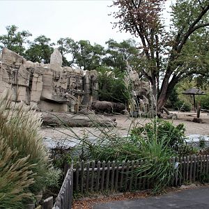 Detroit Zoo - Rhino enclosure - Summer/Fall, 2016