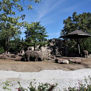 Detroit Zoo - Rhino enclosure - Summer/Fall, 2016