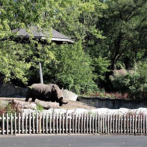 Detroit Zoo - Rhino enclosure - Summer/Fall, 2016