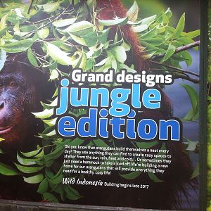 Wild Indonesia Poster: Grand Designs Jungle Edition
