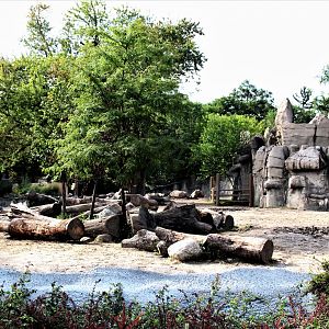 Detroit Zoo - Rhino enclosure - Summer/Fall, 2016
