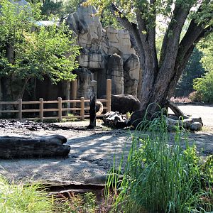 Detroit Zoo - Rhino enclosure - Summer/Fall, 2016