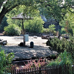Detroit Zoo - Rhino enclosure - Summer/Fall, 2016
