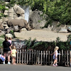 Detroit Zoo - Rhino enclosure - Summer/Fall, 2016