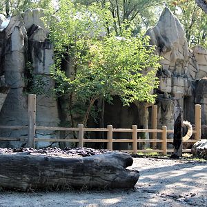 Detroit Zoo - Rhino enclosure - Summer/Fall, 2016
