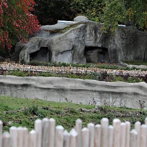 Detroit Zoo - Wolverine enclosure - Summer/Fall, 2016