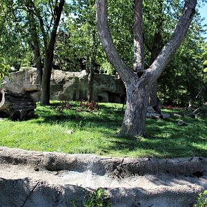 Detroit Zoo - Wolverine enclosure - Summer/Fall, 2016