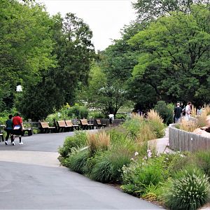 Detroit Zoo - Cotton Family Wolf Wilderness - Summer/Fall, 2016