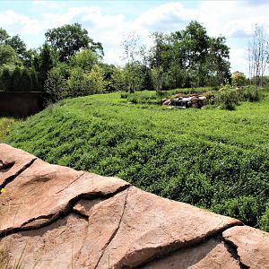 Detroit Zoo - Cotton Family Wolf Wilderness - Summer/Fall, 2016