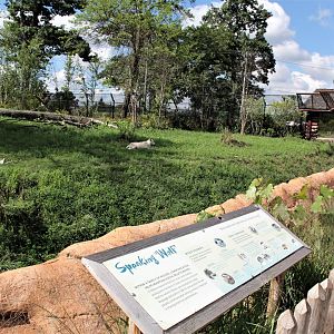 Detroit Zoo - Cotton Family Wolf Wilderness - Summer/Fall, 2016