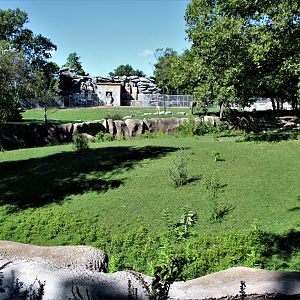 Detroit Zoo - Grevy’s zebra habitat - Summer/Fall, 2016