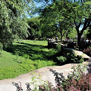 Detroit Zoo - Grevy’s zebra habitat - Summer/Fall, 2016