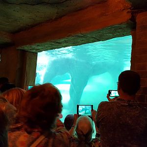 Zoo Leipzig - Asian Elephant exhibit