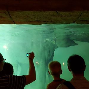 Zoo Leipzig - Asian Elephant exhibit
