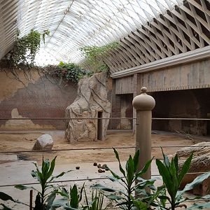 Zoo Leipzig - Asian Elephant exhibit