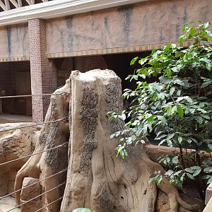 Zoo Leipzig - Asian Elephant exhibit