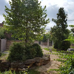 Zoo Leipzig - Asian Elephant exhibit