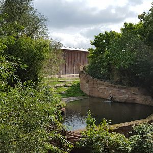 Zoo Leipzig - Asian Elephant exhibit