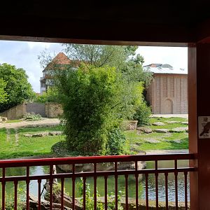 Zoo Leipzig - Asian Elephant exhibit