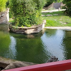 Zoo Leipzig - Asian Elephant exhibit