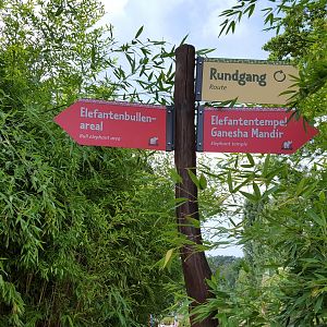 Zoo Leipzig - Asian Elephant exhibit