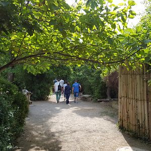 Zoo Leipzig - Asian elephant exhibit