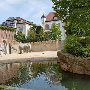 Zoo Leipzig - Asian elephant exhibit