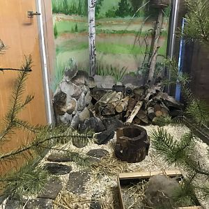 Ranua Zoo - 25th December 2016