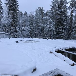 Ranua Zoo - 25th December 2016